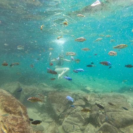 Thumbi View Lodge Cape Maclear Esterno foto