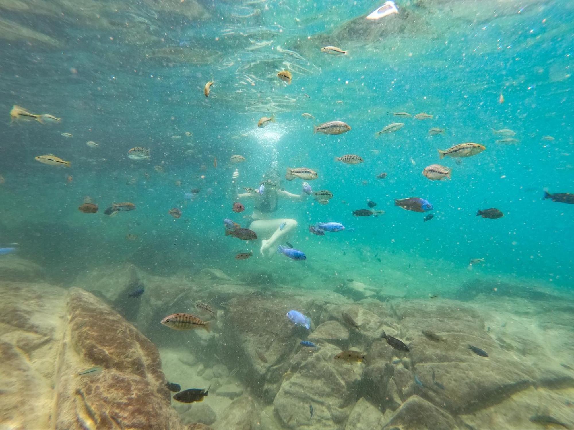 Thumbi View Lodge Cape Maclear Esterno foto